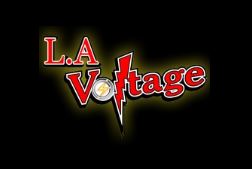 L.A. Voltage Inc. - Electrician & Landscape Lighting Contractors